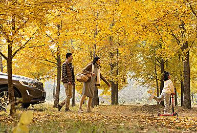 Yuzu已停止运营 但可用60fps帧率运行《圣兽之王》