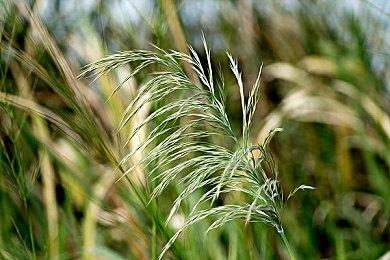 探索解谜《SCARF》12月23日登陆PC 抒情与3D结合